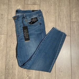 NWT Liverpool Gia Glider Ankle Skinny Style: LY244CH4 Size 20W